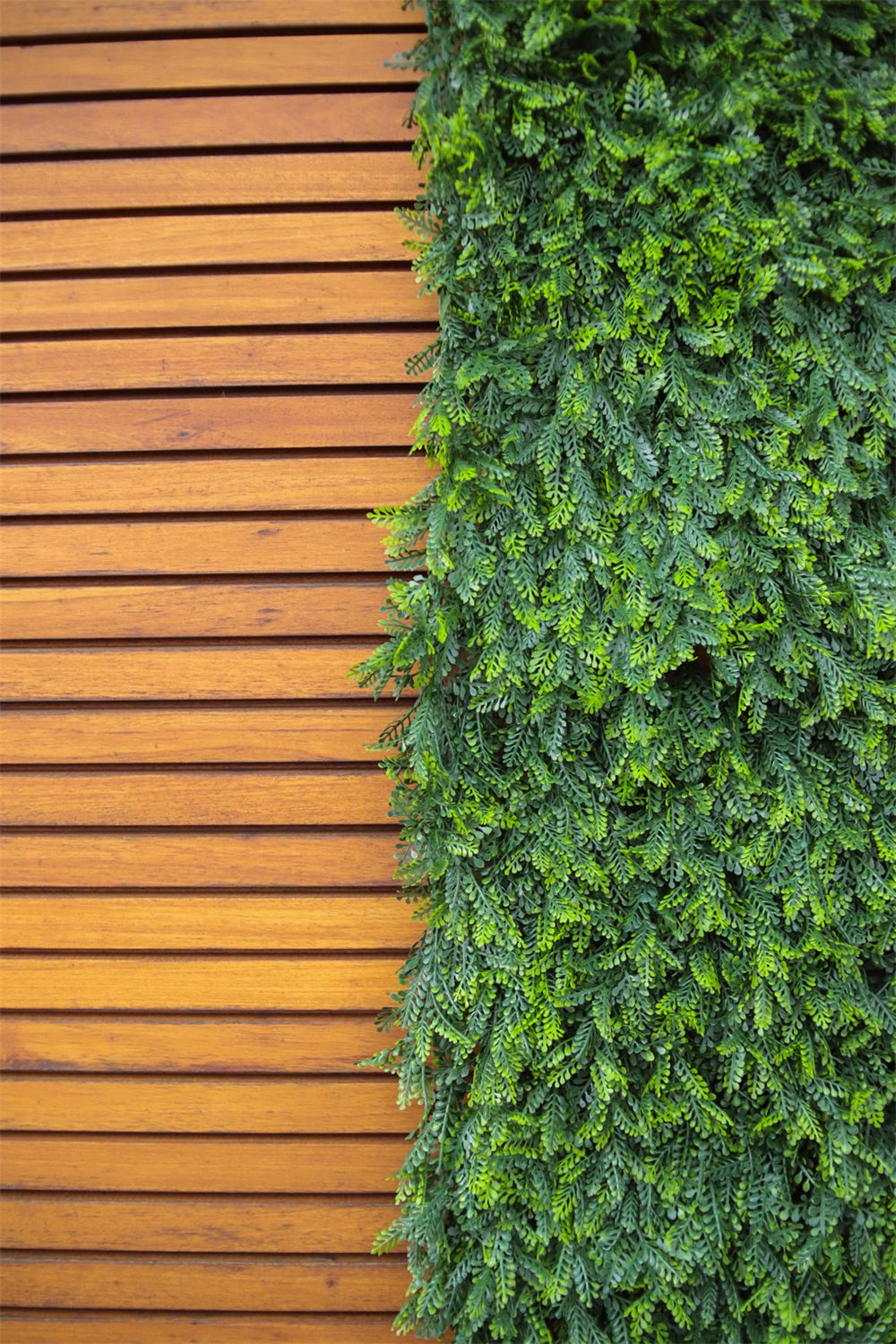 Jardim Vertical Havaiana Samambaia