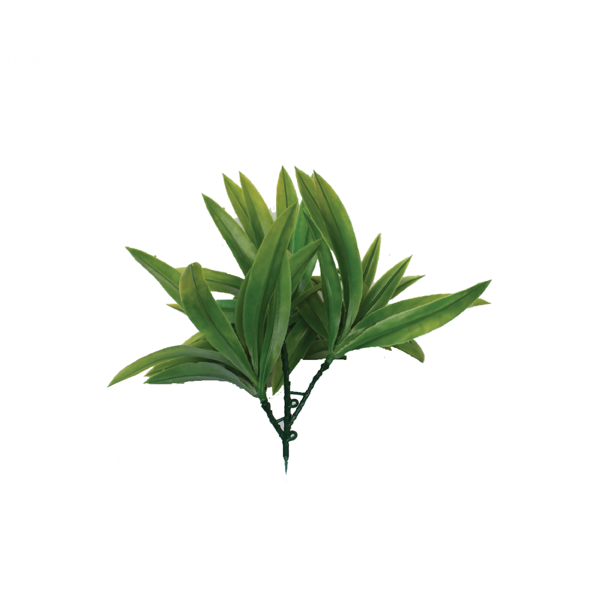 Acessório Dracena Ramos